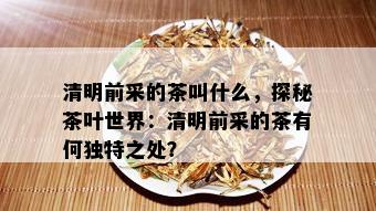 清明前采的茶叫什么，探秘茶叶世界：清明前采的茶有何独特之处？