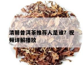 清朝普洱茶推荐人是谁？视频详解播放