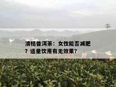 清桔普洱茶：女性能否减肥？适量饮用有无效果？