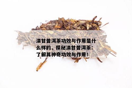 清甘普洱茶功效与作用是什么样的，探秘清甘普洱茶：了解其神奇功效与作用！