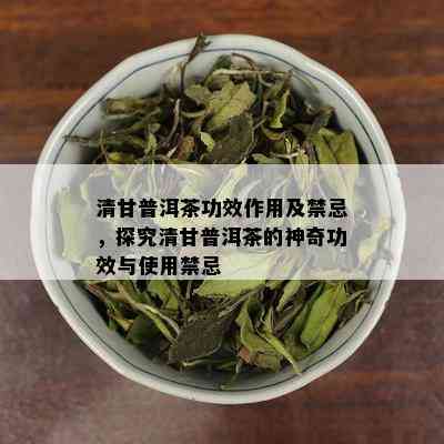 清甘普洱茶功效作用及禁忌，探究清甘普洱茶的神奇功效与使用禁忌