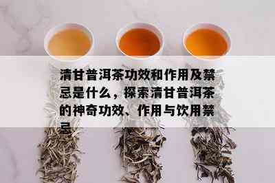 清甘普洱茶功效和作用及禁忌是什么，探索清甘普洱茶的神奇功效、作用与饮用禁忌