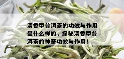 清香型普洱茶的功效与作用是什么样的，探秘清香型普洱茶的神奇功效与作用！