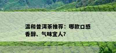 温和普洱茶推荐：哪款口感香醇、气味宜人？