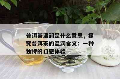 普洱茶温润是什么意思，探究普洱茶的温润含义：一种独特的口感体验