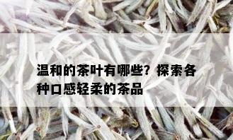 温和的茶叶有哪些？探索各种口感轻柔的茶品