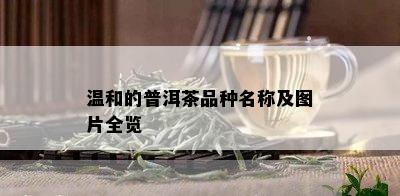 温和的普洱茶品种名称及图片全览