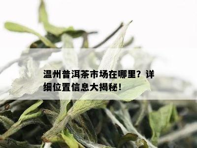 温州普洱茶市场在哪里？详细位置信息大揭秘！