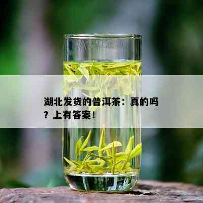 湖北发货的普洱茶：真的吗？上有答案！