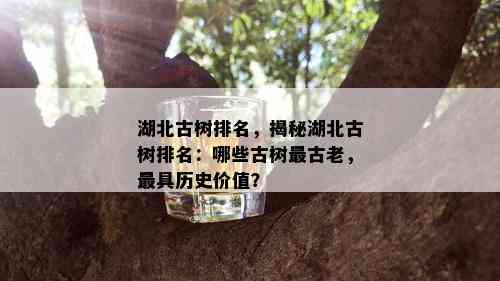 湖北古树排名，揭秘湖北古树排名：哪些古树最古老，更具历史价值？