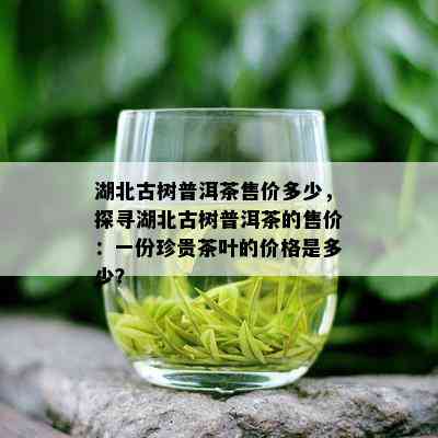 湖北古树普洱茶售价多少，探寻湖北古树普洱茶的售价：一份珍贵茶叶的价格是多少？