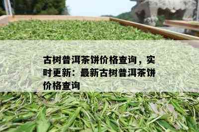 古树普洱茶饼价格查询，实时更新：最新古树普洱茶饼价格查询