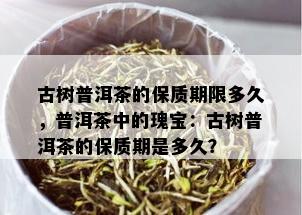 古树普洱茶的保质期限多久，普洱茶中的瑰宝：古树普洱茶的保质期是多久？