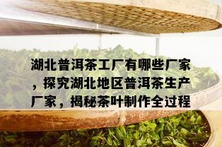 湖北普洱茶工厂有哪些厂家，探究湖北地区普洱茶生产厂家，揭秘茶叶制作全过程