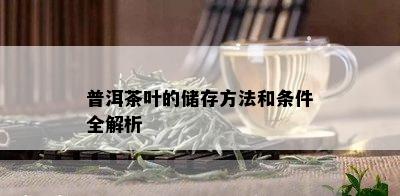 普洱茶叶的储存方法和条件全解析