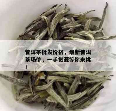 普洱茶批发价格，最新普洱茶场价，一手货源等你来挑！