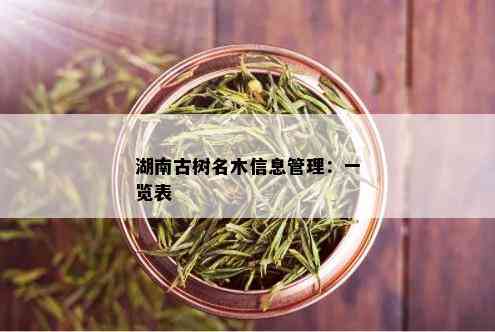 湖南古树名木信息管理：一览表