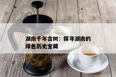 湖南千年古树：探寻湖南的绿色历史宝藏