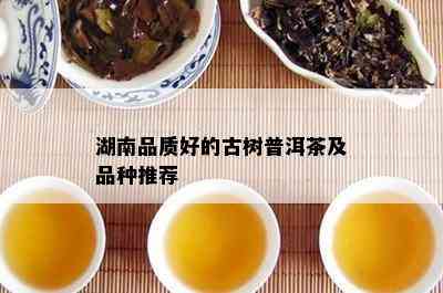 湖南品质好的古树普洱茶及品种推荐