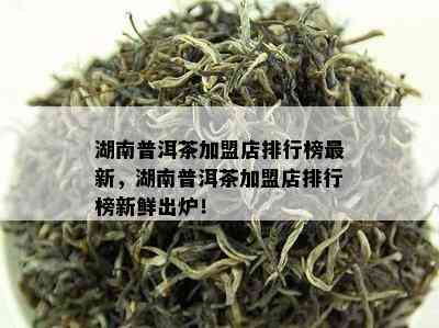 湖南普洱茶加盟店排行榜最新，湖南普洱茶加盟店排行榜新鲜出炉！