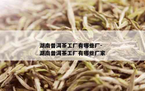 湖南普洱茶工厂有哪些厂-湖南普洱茶工厂有哪些厂家