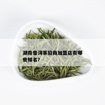 湖南普洱茶招商加盟店有哪些知名？