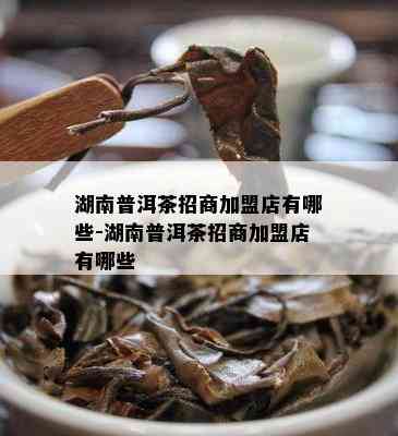 湖南普洱茶招商加盟店有哪些-湖南普洱茶招商加盟店有哪些