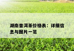 湖南普洱茶价格表：详细信息与图片一览