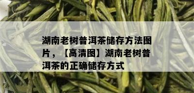 湖南老树普洱茶储存方法图片，【高清图】湖南老树普洱茶的正确储存方式