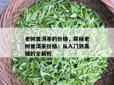 老树普洱茶的价格，探秘老树普洱茶价格：从入门到高端的全解析