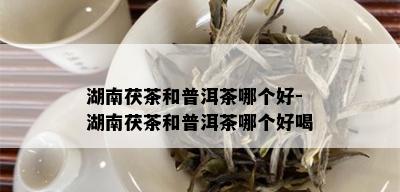 湖南茯茶和普洱茶哪个好-湖南茯茶和普洱茶哪个好喝