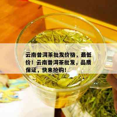 云南普洱茶批发价格，更低价！云南普洱茶批发，品质保证，快来抢购！