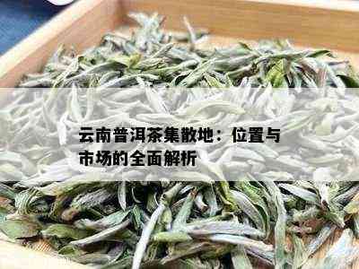 云南普洱茶集散地：位置与市场的全面解析