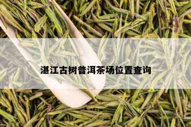 湛江古树普洱茶场位置查询