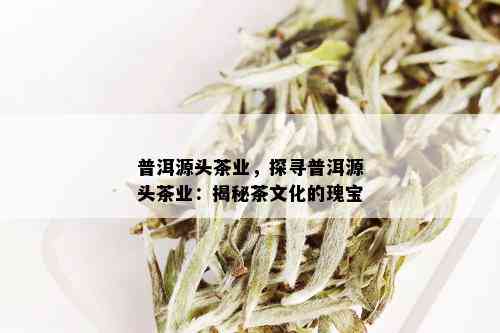 普洱源头茶业，探寻普洱源头茶业：揭秘茶文化的瑰宝