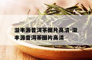 溢丰源普洱茶图片高清-溢丰源普洱茶图片高清