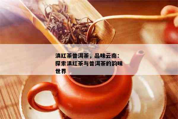 滇红茶普洱茶，品味云南：探索滇红茶与普洱茶的韵味世界