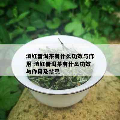 滇红普洱茶有什么功效与作用-滇红普洱茶有什么功效与作用及禁忌