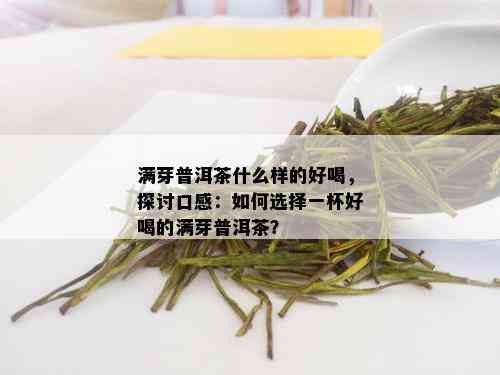 满芽普洱茶什么样的好喝，探讨口感：如何选择一杯好喝的满芽普洱茶？