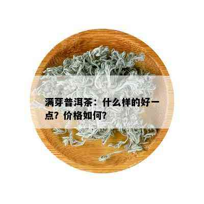 满芽普洱茶：什么样的好一点？价格如何？