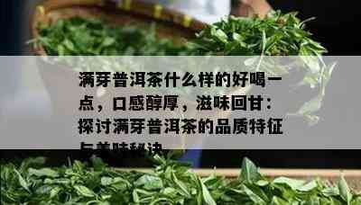 满芽普洱茶什么样的好喝一点，口感醇厚，滋味回甘：探讨满芽普洱茶的品质特征与美味秘诀