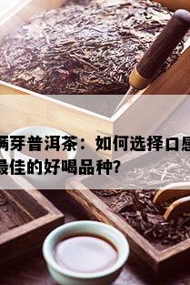 满芽普洱茶：如何选择口感更佳的好喝品种？