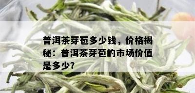 普洱茶芽苞多少钱，价格揭秘：普洱茶芽苞的市场价值是多少？