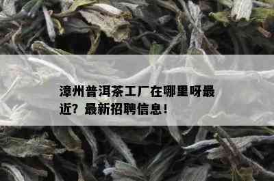 漳州普洱茶工厂在哪里呀最近？最新招聘信息！