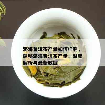 潞海普洱茶产量如何样啊，探秘潞海普洱茶产量：深度解析与最新数据