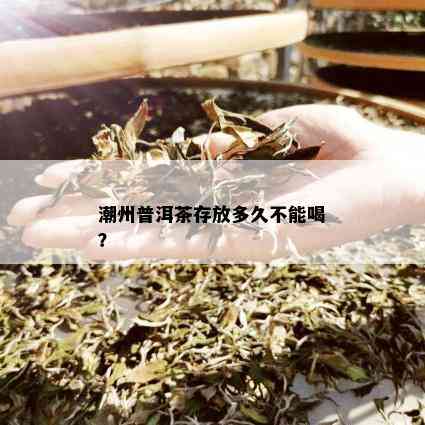 潮州普洱茶存放多久不能喝？