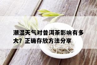 潮湿天气对普洱茶影响有多大？正确存放方法分享