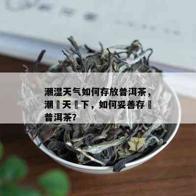 潮湿天气如何存放普洱茶，潮濕天氣下，如何妥善存儲普洱茶？