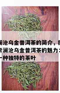 澜沧乌金普洱茶的简介，探索澜沧乌金普洱茶的魅力：一种独特的茶叶