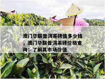 澳门华联普洱茶砖值多少钱，澳门华联普洱茶砖价格查询：了解其市场价值